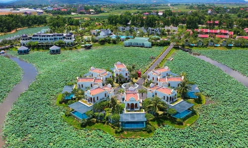 Home - Vườn Vua